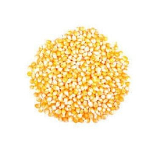 เมล็ดเสาวรสแห้ง18-20ซม. บริสุทธิ์สูงทำจากข้าวโพดสีเหลืองไม่ผ่านการเก็บรักษา - Product Image 5