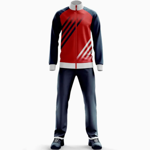 Conjunto Deportivo de Verano para Hombre, Talla Grande, Sudadera con Capucha de Manga Larga con Cremallera Completa, Pantalones Deportivos para Correr, Ropa Deportiva Informal y Cómoda - Product Image 2