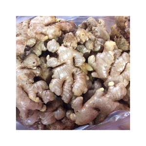 Jengibre fresco con textura firme, rico aroma picante y larga vida útil, empaquetado según lo solicitado, ideal para exportación y venta de alimentos frescos - Product Image 6