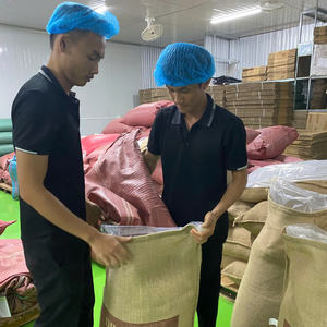 Granos de café verde Robusta de miel AA S16/S18 de alta calidad de Vietnam, meticulosamente lavados y listos para la exportación-DHPone. - Product Image 2