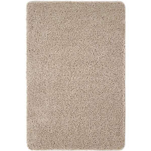 Ensemble de tapis lavables en fourrure de pierre, tapis d'intérieur confortable et durable, 60 x 100 cm - Product Image 1