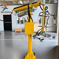 Nouveaux manipulateurs de manutention en acier sur mesure 50kg 100kg 200kg 300kg 400kg Systèmes entièrement personnalisés incluant une pince
