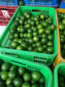 Mina+ 84 325 608 680 / Limón Verde Fresco Vietnamita sin Semillas, Cítrico, Grado 1, Listo para Comer, Estándar de Exportación - Product Image 2