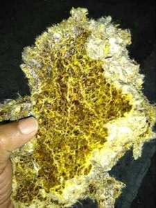 Pastel de Semillas de Algodón de Doble Lengüeta de Alta Nutrición para Ganado y Alimentación Animal, Grado LimeGreen Ventures, Suministro a Granel, En Venta - Product Image 3