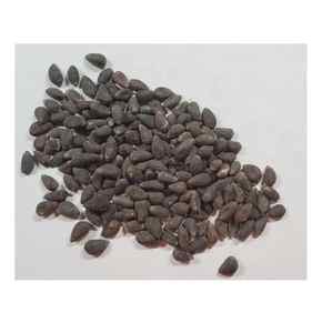 Cotton Seeds offre en gros offre un prix abordable, livraison sécurisée, expédition rapide - Product Image 5