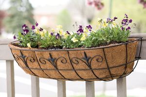 Maceta de ventana de diseño vintage para ventanas de marco, suministros de jardín y macetas de decoración y jardineras para uso doméstico - Product Image 4