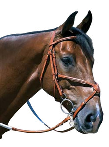 ยกตะเข็บแฟนซีเบาะรูปที่ 8 Bridle ฤดูกาล Samosata งูเก่าได้รับการรับรอง ISO 9001 ปรับแต่งได้ตามคําขอจัดส่ง - Product Image 4