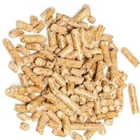 Briquetas de Carbón de Biomasa de Alta Energía y Durabilidad, Hechas con Aserrín, Extruidas, SR Global Exports, Hechas en India para Uso Industrial Global