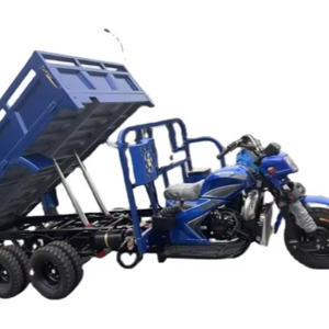 Лидер продаж: 9-колесный бензиновый грузовой трицикл (250, 300, 350 куб. см) для промышленного использования, OEM/ODM, DIY - Product Image 1