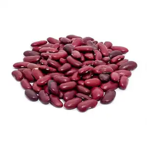 Hot selling dark red kidney beans with export price