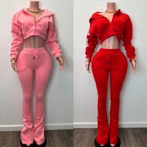 Mùa Đông Phụ Nữ Thêu Mô Hình Dài Tay Áo Cắt Áo Và Bùng Pant Hai-Mảnh Zip-up Thiết Lập - Product Image 3