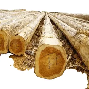 HOLZHOLZ LOGS / CRUDE WOOD UND PINE SPRUCE BIRKE OAK ASH LOGS/TIMBER