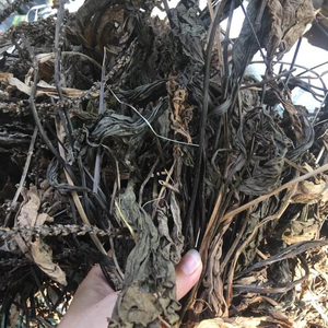 Planta de Plantago, Hojas y Tallos Secos Cortados, Hojas Enteras de Plantago Secas, 85g 1.95Kg, Proveedor de Plantago major, Vietnam - Product Image 2