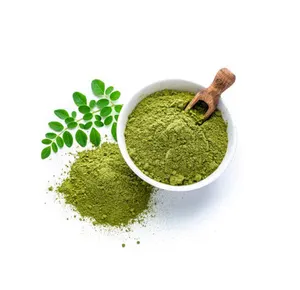 Huge Sale on Good Quality Wholesale Natural Moringa Leaves Extract Available in PP Bag Packaging from Egypt
