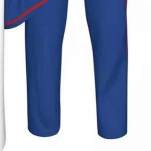 Conjunto de Uniforme de Béisbol Premium para Club, Escuela o Liga, Uniforme de Béisbol Sublimado Personalizado, Jersey y Pantalones - Product Image 6