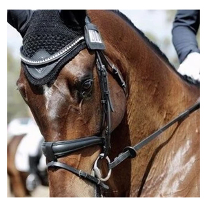 Nuevo Diseño Lumiere, Brida Ecuestre de Cuero Spark, Productos para Caballos - Product Image 2