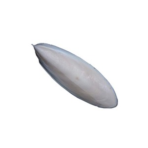 กระดูกปลาหมึกแช่แข็งที่อุดมด้วยแคลเซียมมีประโยชน์ต่อสุขภาพของนก - Product Image 6