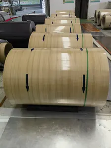 Hoja de bobina <span class=keywords><strong>ppgi</strong></span> de grano de madera, bobina de acero galvanizado prepintada, precio de fábrica - Product Image 4