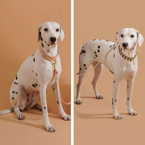 Handgemaakte Gevlochten Pvc Hondenhalsband Verstelbare Zware Waterdichte Zachte Mode Luxe Custom Logo Gepersonaliseerd - Product Image 6