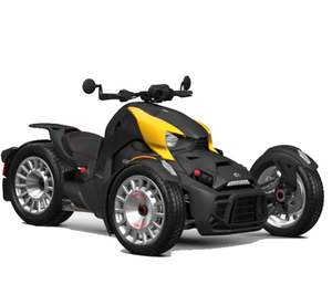 2025สามารถ-AM rykers แรลลี่ rotax 900 Ace มหากาพย์การขายที่รวดเร็ว - Product Image 1