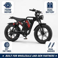 Vélo cargo électrique 48V 750W, cadre en acier, batterie lithium, double batterie, pneus larges de 20 pouces, 7 vitesses, pour la famille, la livraison et les trajets quotidiens