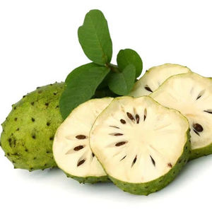 FABRICANTE DE VIETNAM SUMINISTRO SOURSOP HOJAS EN POLVO - Product Image 1