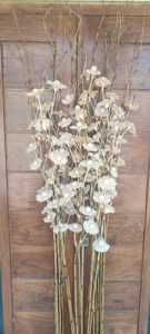 Tiges de fleurs séchées, branches naturelles, arrangement floral, remplissage de fleurs en soie, Daerah Istimewa Yogyakarta, pour la maison, mariage - Product Image 1