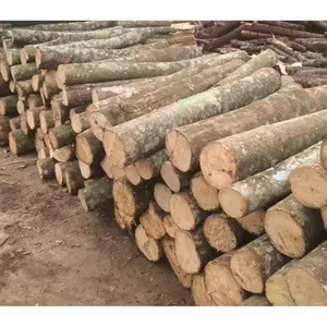Tábuas para Construção De Logs De Acácia Núcleo De Origem De Material De Madeira Acácia Para Produto De Construção