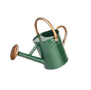 Petit arrosoir de jardin vert Seau d'arrosage décoratif pour le jardin domestique - Product Image 3