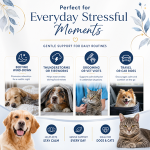 Friandises à mâcher apaisantes pour animaux de compagnie OEM, camomille, lavande, racine de valériane, soulagement du stress pour chiens et chats, friandises douces en forme de cœur, personnalisées - Product Image 4