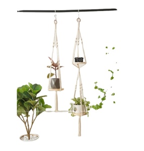 Plant Hanger With Wood Stump Customized Macrame Plant Hanger for <b>Wall</b> and Window Decoration - Product Image 1