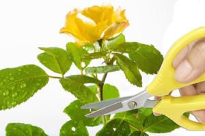 7 Inch TI ulti-funtion Anti-slip RIP GH IGH Arbon teteel heys for ardening - Product Image 6