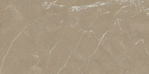 Homogenuos High Pixel conçoit des carreaux de porcelaine vitrifiés en Inde pour le hall de l'hôtel. - Product Image 2