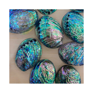 เปลือกหอยเป๋าฮื้อธรรมชาติขายส่งเหมาะสำหรับเครื่องประดับงานประดิษฐ์และตกแต่งบ้าน - Product Image 4