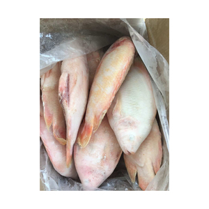 Selección superior de tilapia roja congelada, ofrecida a precio de descuento para compradores comerciales a gran escala. - Product Image 1
