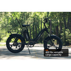 HAOQI Antelope 500W Bicicleta eléctrica de carga de doble batería (certificada) - Product Image 2