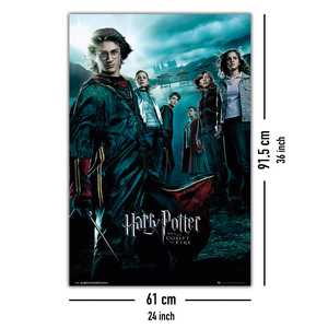 โปสเตอร์แฮร์รี่ พอตเตอร์กับถ้วยแห่งไฟสไตล์โมเดิร์นสำหรับตกแต่งผนัง - Product Image 5