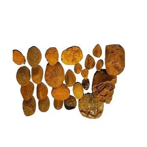 Calculs biliaires de bovins biologiques, type vésicule, 100 % haute pureté, non hydrosolubles, emballage sous vide pour le commerce mondial - Product Image 1