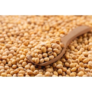Soja jaune biologique non OGM de qualité supérieure en gros, soja délicieux, vente en gros par fournisseur en vrac - Product Image 5