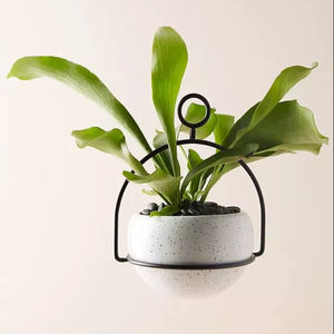 Plante suspendue murale en fer artisanal pour la décoration rustique de la maison avec une finition et un style métalliques vintage - Product Image 1