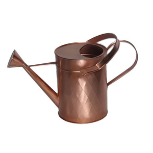 Regadera de doble mango sólido para plantas suculentas para latas de agua para interiores y exteriores Regadera con acabado antiguo de buena calidad - Product Image 4