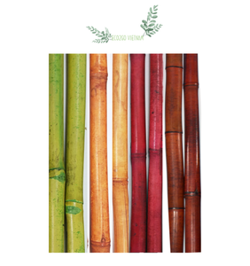 Postes de bambú naturales de Eco2go Vietnam/Pintura de poste de bambú con buen precio y muestra gratis de Eco2go Vietnam - Product Image 1