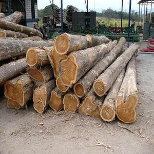 100% Pure Timber <b>Logs</b> Teak <b>Wood</b> / Oak <b>Wood</b> <b>Logs</b> / Pine <b>Wood</b> <b>Logs</b> - Product Image 1