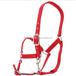 Licou cheval cheval en Nylon, vente en gros, bride en Textile, licou cheval réglable avec accessoires solides en acier inoxydable - Product Image 5