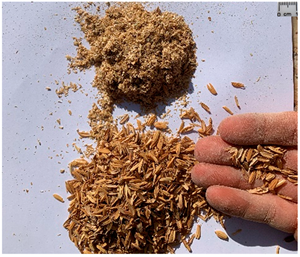 Polvo de cáscara de arroz de alta calidad para precio al por mayor - Product Image 1