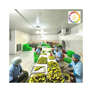 Savourez le goût doux et beurré de l'avocat congelé du Vietnam fabriqué à partir de fruits locaux mûrs de haute qualité - Product Image 5