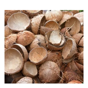 Suministro directo de fábrica de cáscara cruda de Coco para carbón, artesanía creativa, decoración del hogar y el Jardín-Pedidos a granel flexibles disponibles - Product Image 1