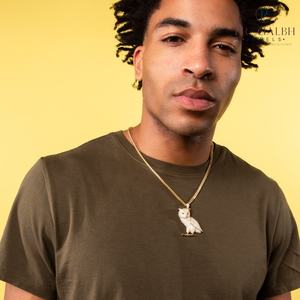 Wise Owl Collar con colgante de circón de alta calidad Iced Out CZ Diamond Gold Plated Luxury Hip Hop Jewelry para hombres y mujeres - Product Image 3