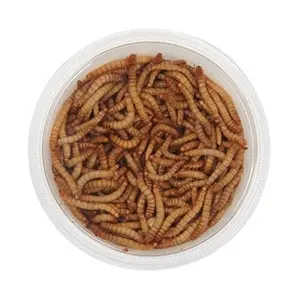 Kurutulmuş yemek kurdu Mealworms dondurularak kurutulmuş Mealworm küçük hayvan besleme