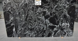 Carreaux de granit de la forêt noire de qualité supérieure Dalles de salle de bain de cuisine polies modernes Haute résistance directement pour les villas commerciales - Product Image 3